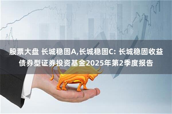 股票大盘 长城稳固A,长城稳固C: 长城稳固收益债券型证券投资基金2025年第2季度报告