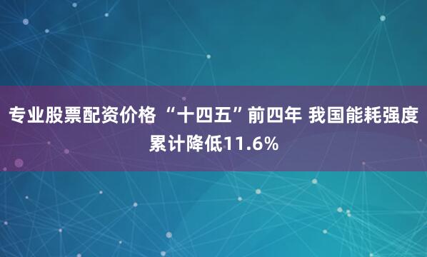 专业股票配资价格 “十四五”前四年 我国能耗强度累计降低11.6%