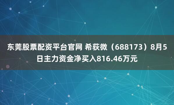 东莞股票配资平台官网 希荻微（688173）8月5日主力资金净买入816.46万元